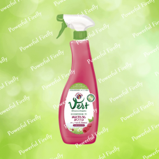 Універсальний дезінфікуючий засіб для чищення CHANTE CLAIR Vert Ecodetergente Multiuso Aceto 625ml