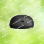 Бездротові навушники «JBL» Tune Flex Black